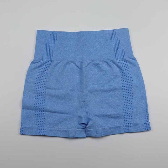 High Waist Workout Shorts Vital Seamless