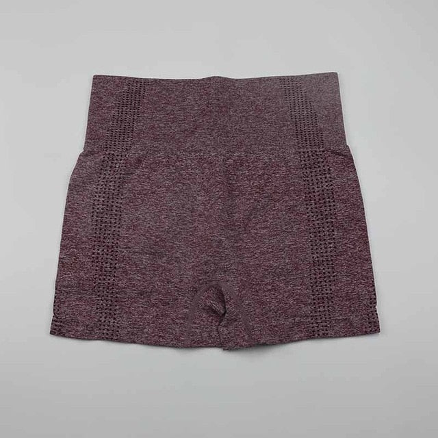 High Waist Workout Shorts Vital Seamless